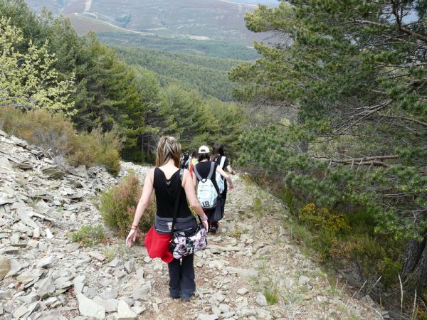 Preme para ver a foto ampliada