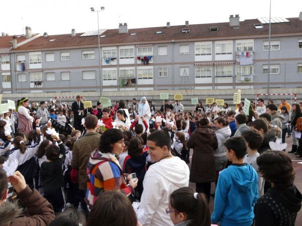 Preme para ver a foto ampliada