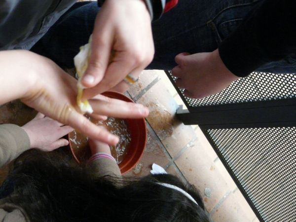 Preme para ver a foto ampliada