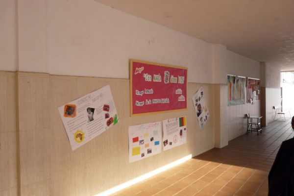 Preme para ver a foto ampliada