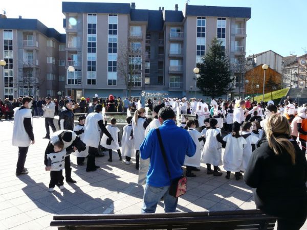 Preme para ver a foto ampliada