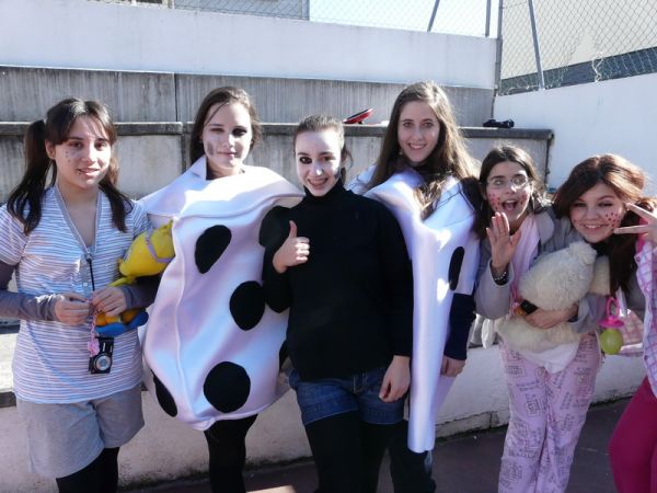 Preme para ver a foto ampliada