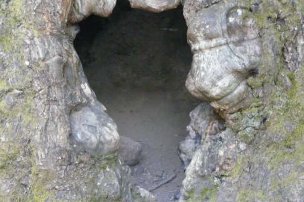 Preme para ver a foto ampliada