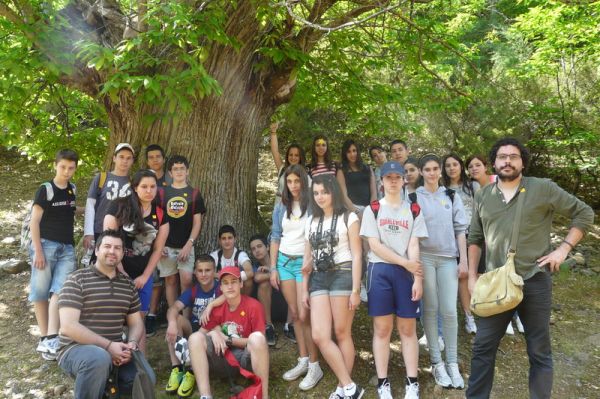 Preme para ver a foto ampliada