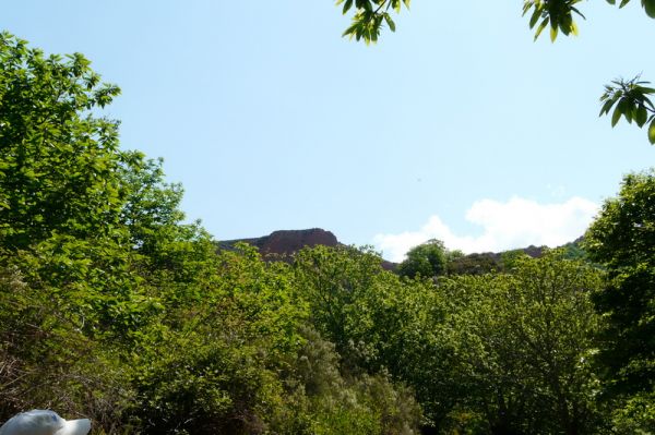 Preme para ver a foto ampliada