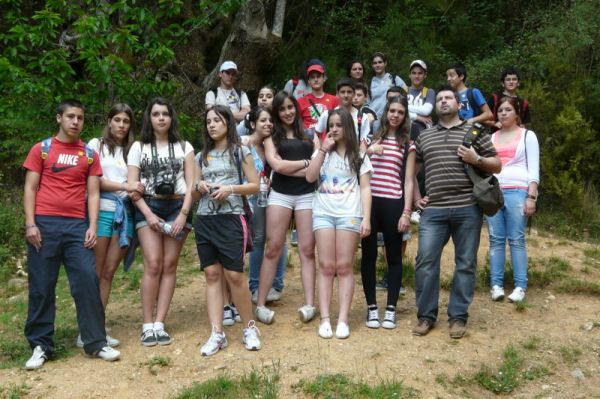 Preme para ver a foto ampliada