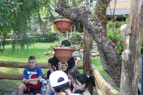 Preme para ver a foto ampliada