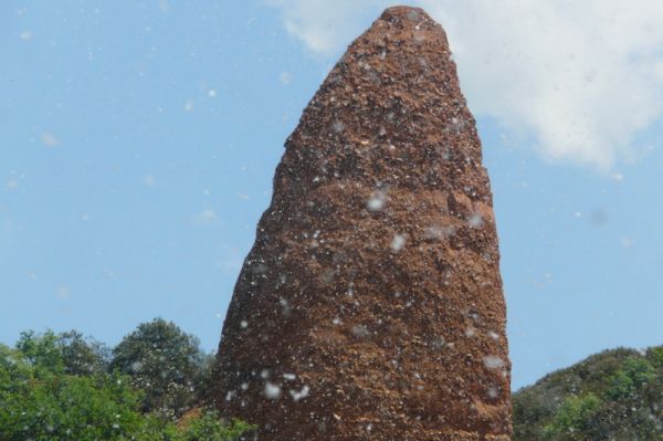 Preme para ver a foto ampliada