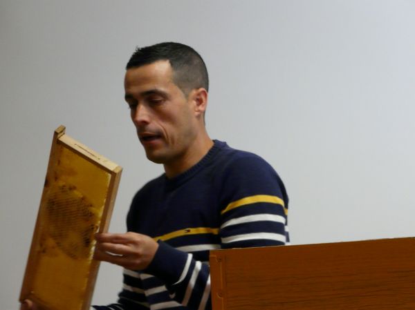 Preme para ver a foto ampliada