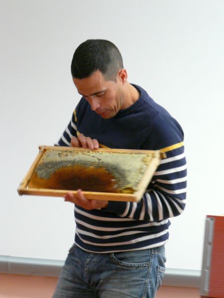 Preme para ver a foto ampliada