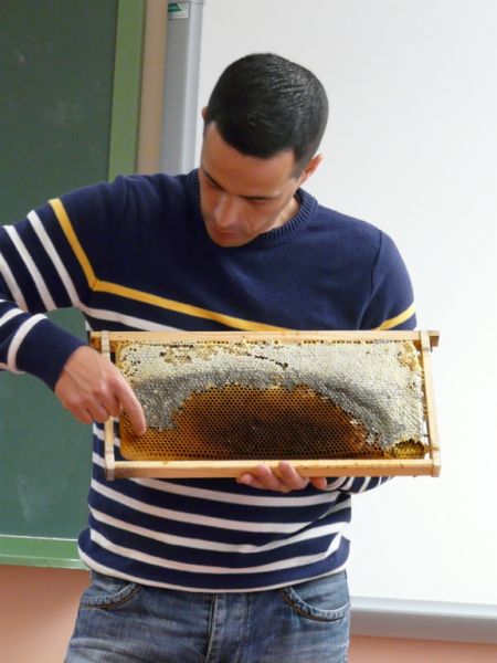 Preme para ver a foto ampliada