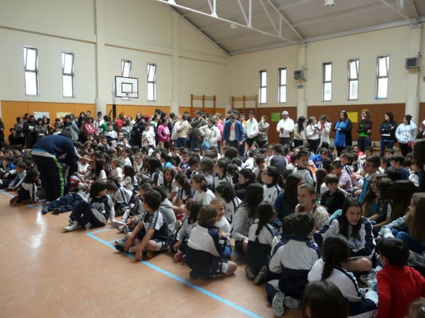 Preme para ver a foto ampliada