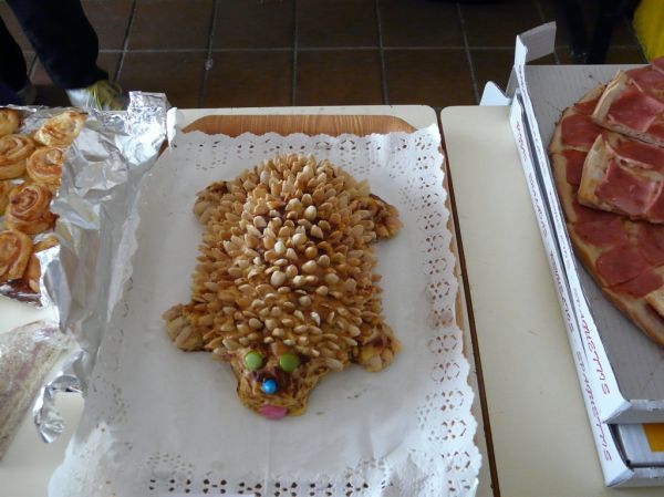 Preme para ver a foto ampliada