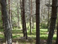 Nome de arquivo=P1000818.JPG
Tamaño de arquivo=646KB
Dimensións=800x600
Data de engadido=04 de Xuñ do 2008 P1000818.JPG