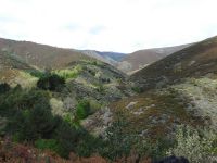 Nome de arquivo=P1000819.JPG
Tamaño de arquivo=461KB
Dimensións=800x600
Data de engadido=04 de Xuñ do 2008 P1000819.JPG