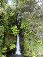 Nome de arquivo=P1000824.JPG
Tamaño de arquivo=403KB
Dimensións=450x600
Data de engadido=04 de Xuñ do 2008 P1000824.JPG