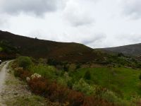 Nome de arquivo=P1000829.JPG
Tamaño de arquivo=450KB
Dimensións=800x600
Data de engadido=04 de Xuñ do 2008 P1000829.JPG