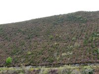 Nome de arquivo=P1000837.JPG
Tamaño de arquivo=504KB
Dimensións=800x600
Data de engadido=04 de Xuñ do 2008 P1000837.JPG