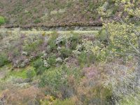 Nome de arquivo=P1000838.JPG
Tamaño de arquivo=657KB
Dimensións=800x600
Data de engadido=04 de Xuñ do 2008 P1000838.JPG