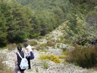 Nome de arquivo=P1000845.JPG
Tamaño de arquivo=647KB
Dimensións=800x600
Data de engadido=04 de Xuñ do 2008 P1000845.JPG