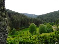 Nome de arquivo=P1000862.JPG
Tamaño de arquivo=474KB
Dimensións=800x600
Data de engadido=04 de Xuñ do 2008 P1000862.JPG