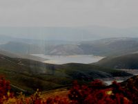 Nome de arquivo=P1000879.jpg
Tamaño de arquivo=395KB
Dimensións=800x600
Data de engadido=04 de Xuñ do 2008 P1000879.jpg