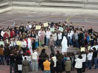 Nome de arquivo=P1030701.JPG
Tamaño de arquivo=190KB
Dimensións=800x600
Data de engadido=12 de Feb do 2009 P1030701.JPG