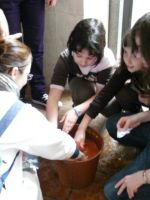 Nome de arquivo=P1030741.JPG
Tamaño de arquivo=78KB
Dimensións=450x600
Data de engadido=12 de Feb do 2009 P1030741.JPG