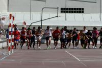 Nome de arquivo=P1180310.JPG
Tamaño de arquivo=191KB
Dimensións=800x533
Data de engadido=26 de Mai do 2012 P1180310.JPG