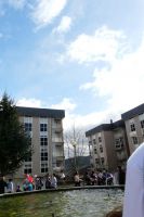 Nome de arquivo=P1220683_redimensionar.JPG
Tamaño de arquivo=111KB
Dimensións=512x768
Data de engadido=25 de Feb do 2013 P1220683_redimensionar.JPG