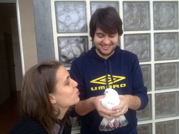 Preme para ver a foto ampliada