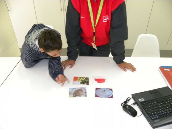 Preme para ver a foto ampliada