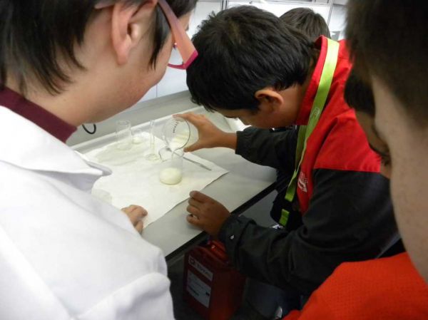 Preme para ver a foto ampliada