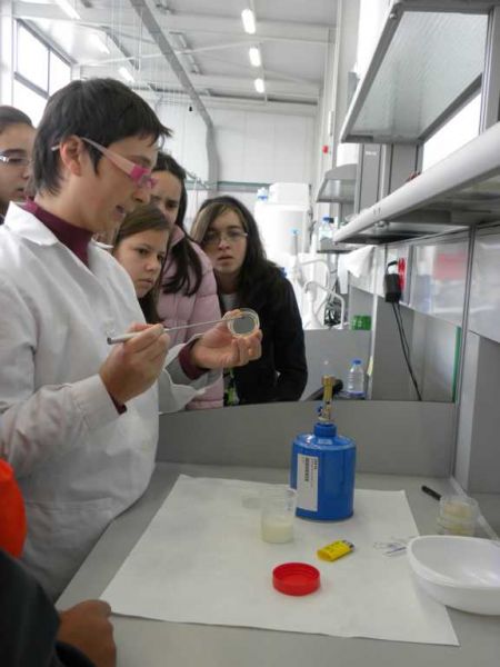 Preme para ver a foto ampliada