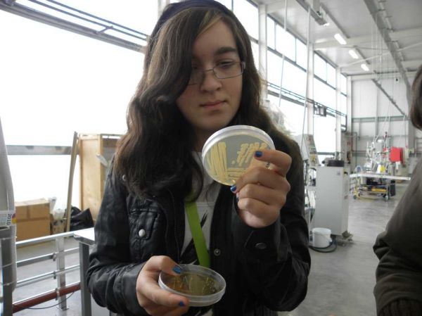 Preme para ver a foto ampliada