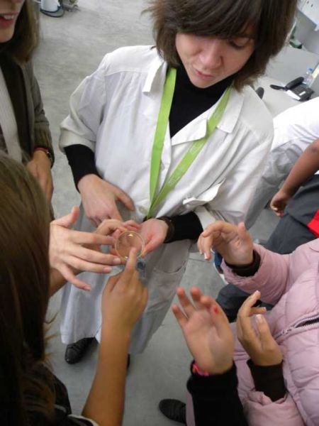 Preme para ver a foto ampliada