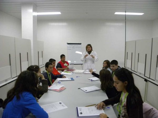 Preme para ver a foto ampliada