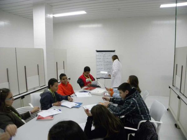 Preme para ver a foto ampliada