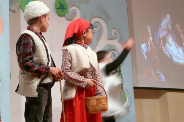 Preme para ver a foto ampliada