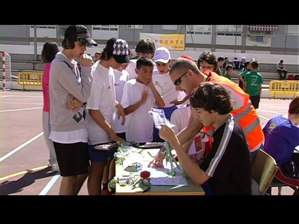 Preme para ver a foto ampliada