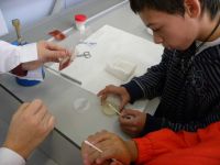 Nome de arquivo=DSCN0597.JPG
Tamaño de arquivo=44KB
Dimensións=1024x768
Data de engadido=17 de Nov do 2010 DSCN0597.JPG