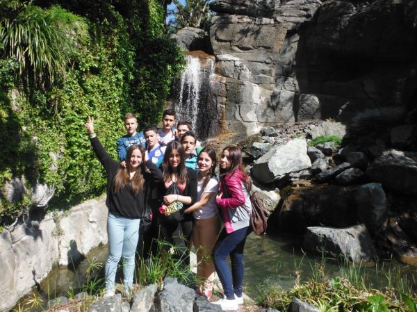 Preme para ver a foto ampliada