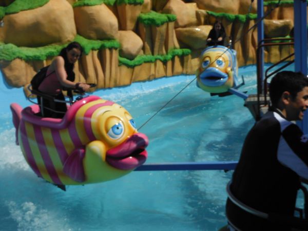 Preme para ver a foto ampliada