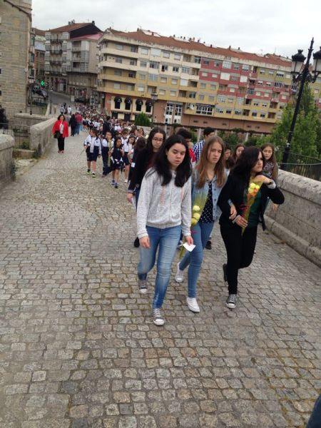 Preme para ver a foto ampliada