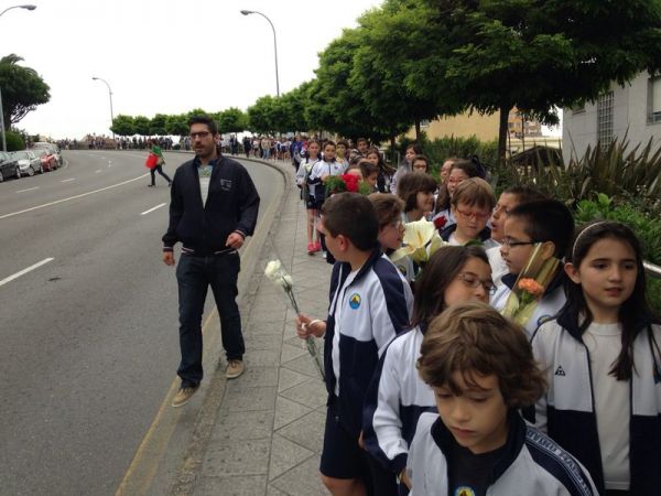 Preme para ver a foto ampliada