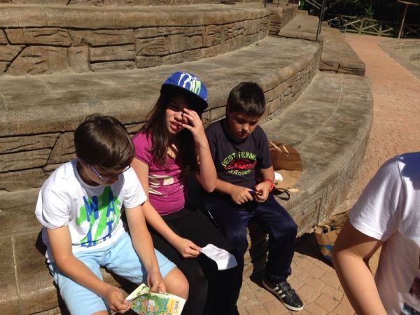 Preme para ver a foto ampliada