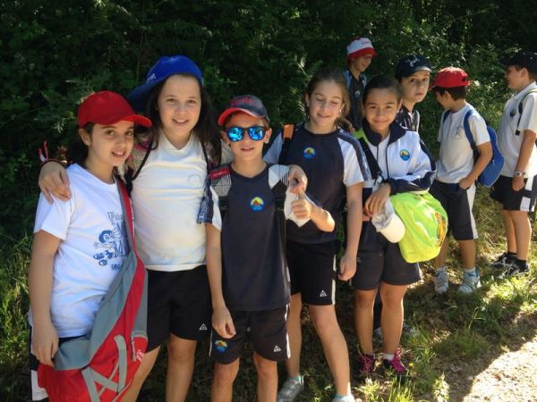 Preme para ver a foto ampliada