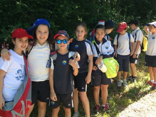 Preme para ver a foto ampliada