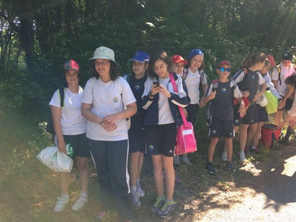 Preme para ver a foto ampliada