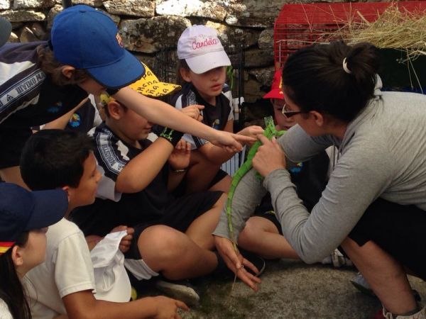 Preme para ver a foto ampliada